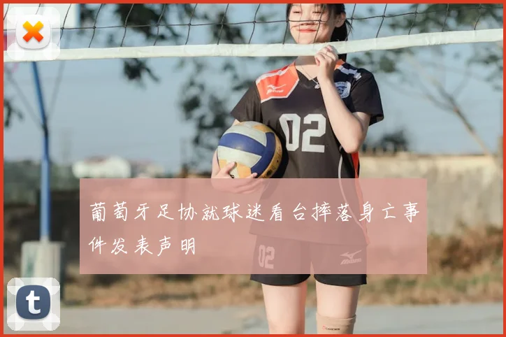 葡萄牙足协就球迷看台摔落身亡事件发表声明