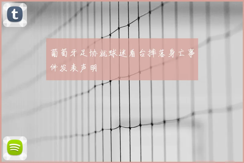 葡萄牙足协就球迷看台摔落身亡事件发表声明